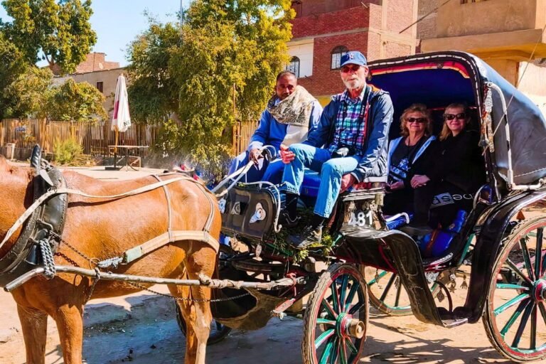 Aswan City Tour by Horse Carriage