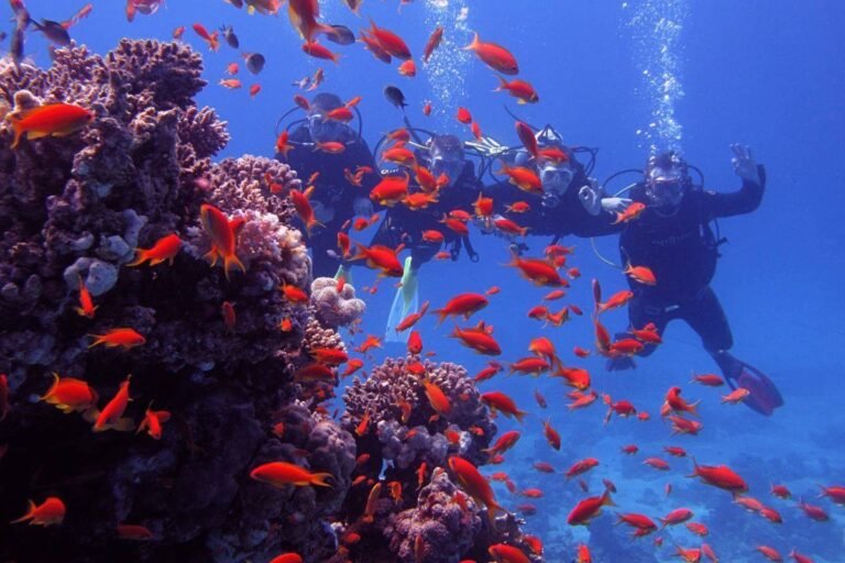 Snorkeling Trip to Giftun Island