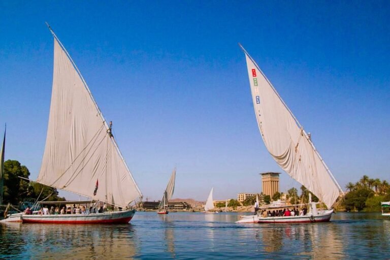 Aswan Felucca Ride on the Nile & Botanical Garden