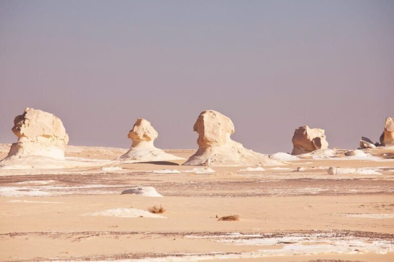 Overnight Tour to White Desert and Bahariya Oasis