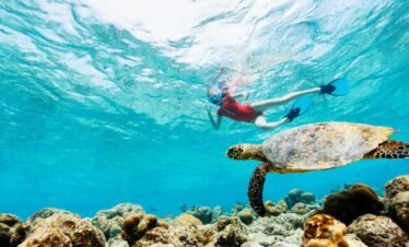 Snorkelling in Hurghada