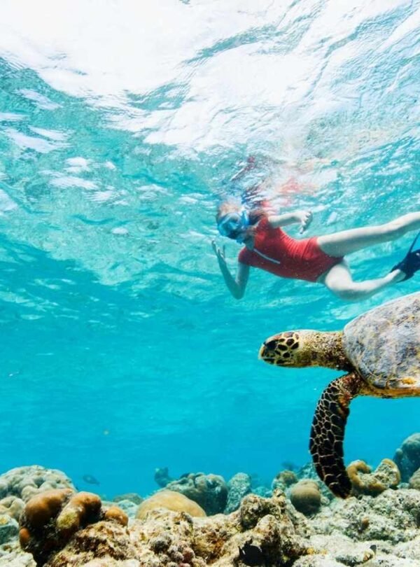 Snorkelling in Hurghada