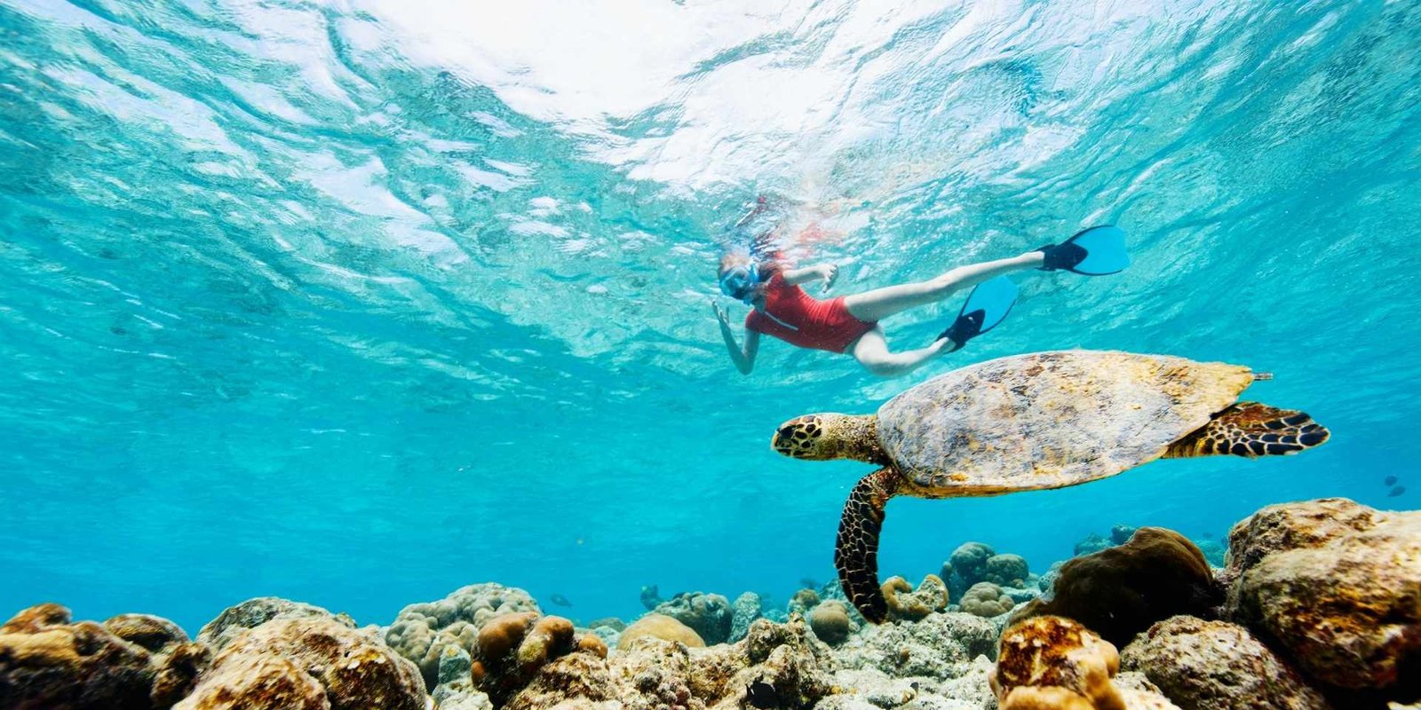 Snorkelling in Hurghada