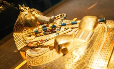 grand egyptian museum