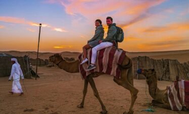 Over Day Tour To Wadi El Hitan & Safari In Fayoum From Cairo